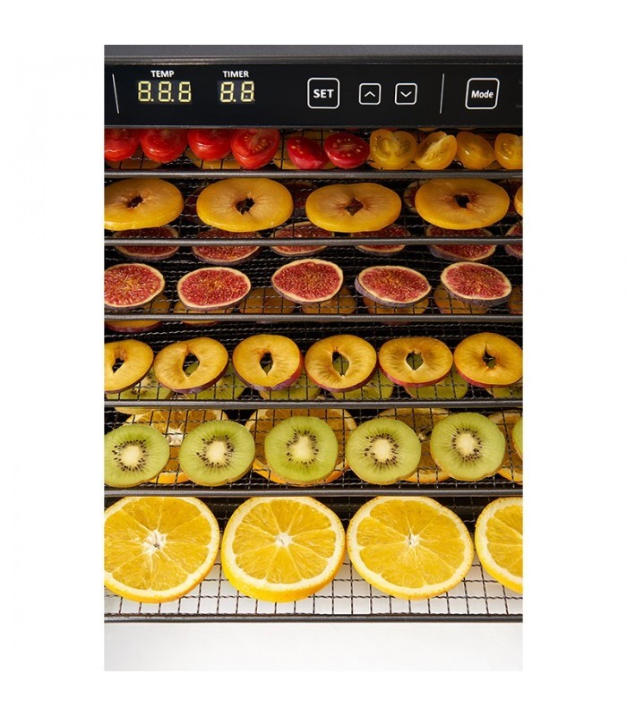 Dehydrator Zyle Express (typ II) - Suszarka do owoców i warzyw - 2688