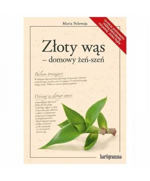 Złoty wąs – domowy żeń-szeń D,A2 - 372
