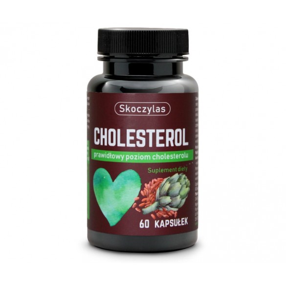 Cholesterol - SKOCZYLAS