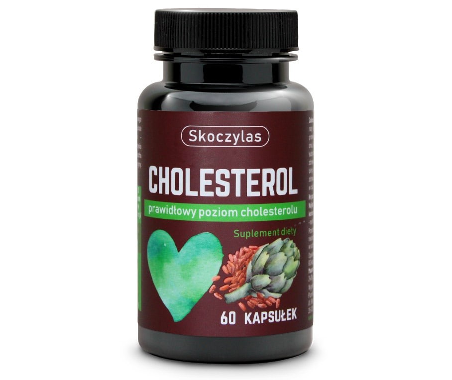 Cholesterol - SKOCZYLAS - 4130