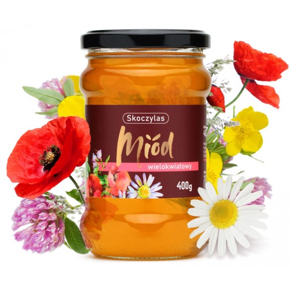 Miód wielokwiatowy Skoczylas 400 g | Naturalny miód pszczeli