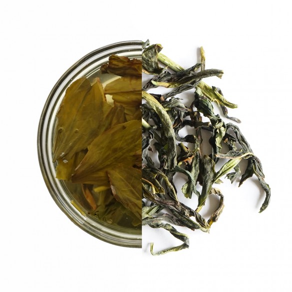 Zielona herbata Kwiat Imbiru Dan Cong 25 g