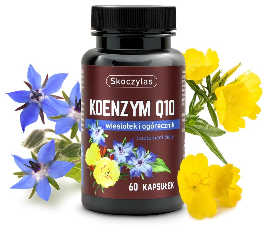 Koenzym Q10, wiesiołek i ogórecznik - 4564
