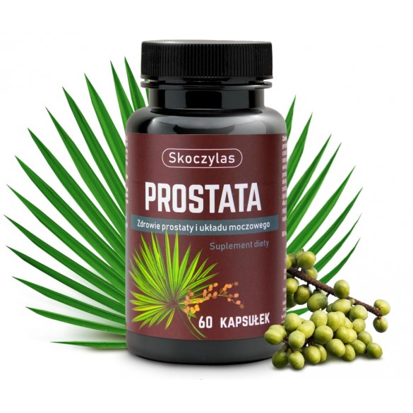 Prostata