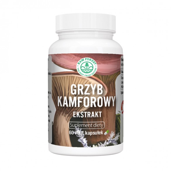 Grzyb Kamforowy - Ekstrakt - Suplement diety - RawForest
