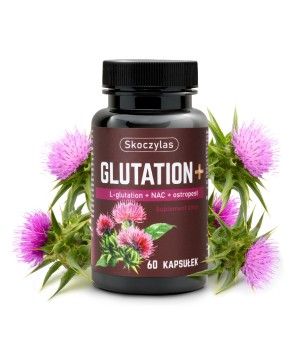 Glutation + NAC + ostropest...