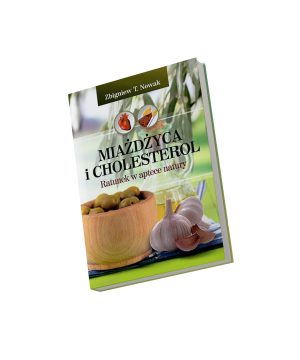 Miażdżyca i cholesterol