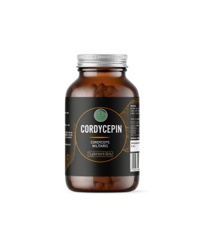 Cordycepin (Cordyceps) -...