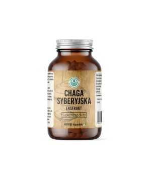 Chaga Syberyjska -...