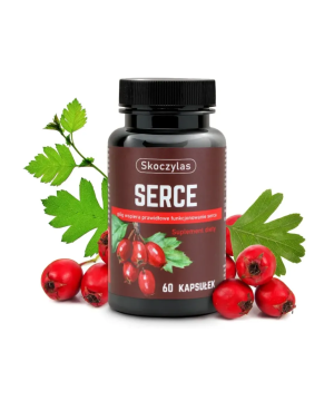 Serce - głóg, serdecznik,...