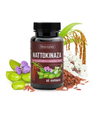 NATTOKINAZA Fermokinase®...