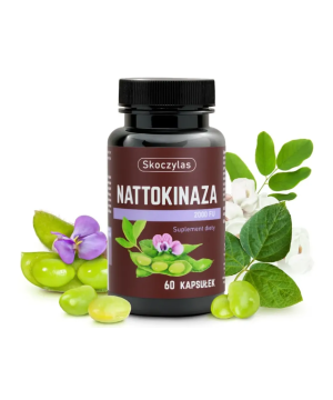 NATTOKINAZA 2000 FU -...