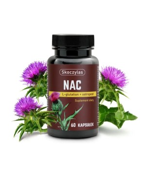 NAC L-glutation, ostropest