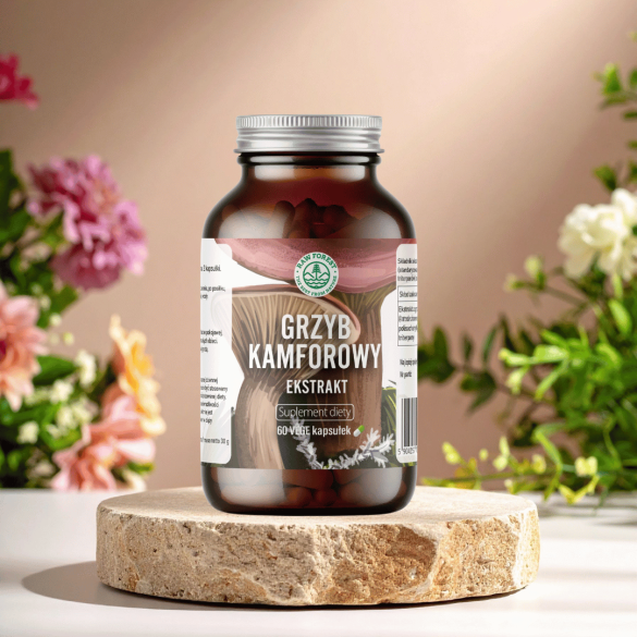 Grzyb kamforowy 500mg/ 60 kaps.