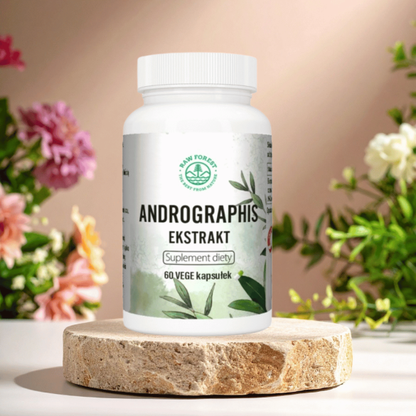 Andrographis - Ekstrakt - suplement diety - 60 kapsułek - RawForest