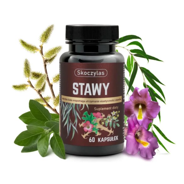 STAWY kadzidłowiec, wierzba, ashwagandha, hakorośl