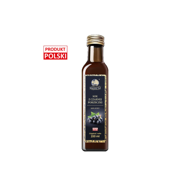 Sok z czarnej porzeczki 250 ml