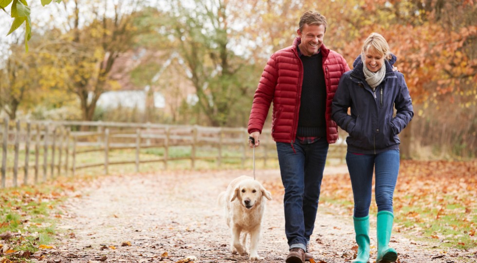 Wzmocnij odporność w 30 dni