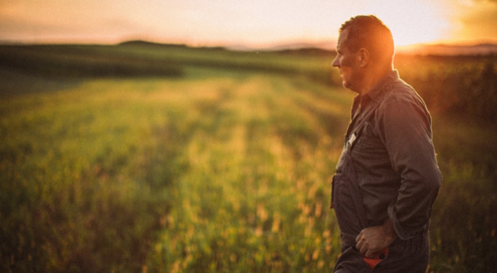 Czy Mercosur zaleje Polskę gorszą żywnością?