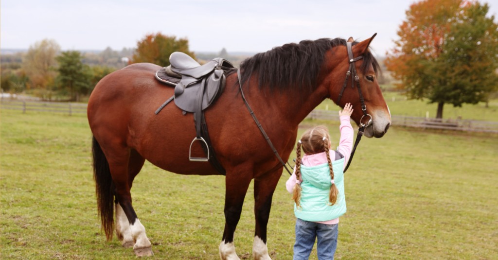 Hipoterapia – dla kogo jest wskazana?