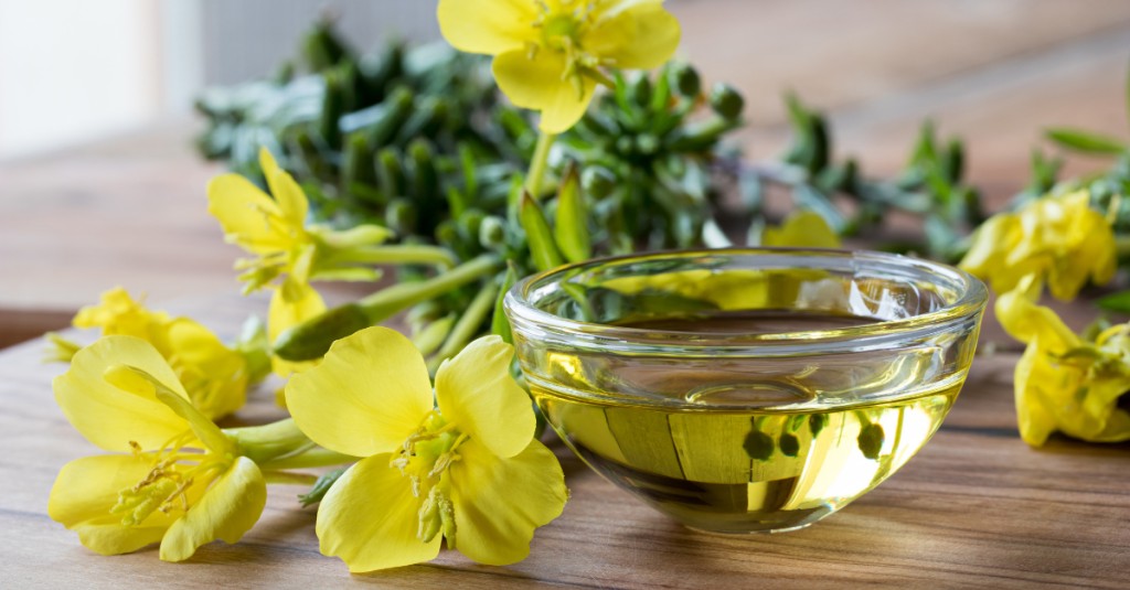 W jaki sposób pozyskuje się olej z wiesiołka i gdzie znajduje on zastosowanie