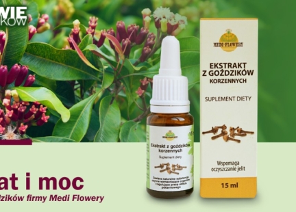 Aromat i moc – ekstrakt z goździków firmy Medi Flowery