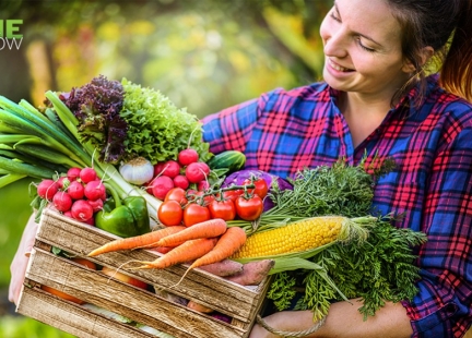 Odżywcze i antyodżywcze składniki owoców i warzyw spożywane w nadmiarze