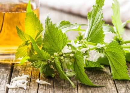 Wiosna z pokrzywą – naturalne wsparcie prostaty