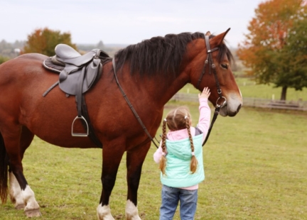 Hipoterapia – dla kogo jest wskazana?