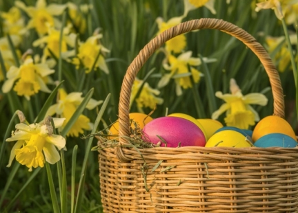 Cudownych Świąt Wielkanocnych!