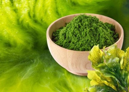 Jakie składniki odżywcze zawiera olej z alg i jakie mają one znaczenie 