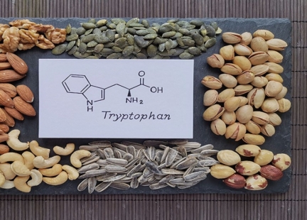Tryptofan - cenny dla zdrowia aminokwas
