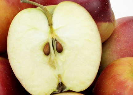 Jabłka – czy wiesz o nich wszystko?