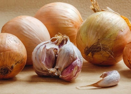 Czosnek, cebula, chrzan – słowiańskie zioła zdrowia i urody