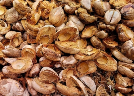  Węgiel z łupin kokosa – naturalne oczyszczanie i detoksykacja